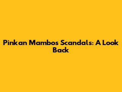 Pinkan Mambo's Scandals: A Look Back