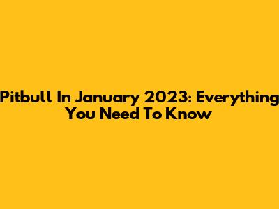 Pitbull In January 2023: Everything You Need To Know