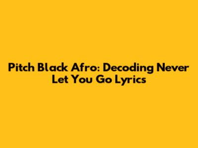 Pitch Black Afro: Decoding "Never Let You Go" Lyrics