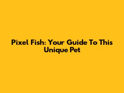 Pixel Fish: Your Guide To This Unique Pet