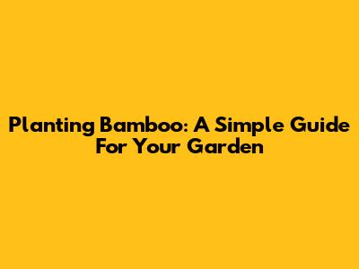 Planting Bamboo: A Simple Guide For Your Garden