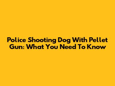 Police Shooting Dog With Pellet Gun: What You Need To Know