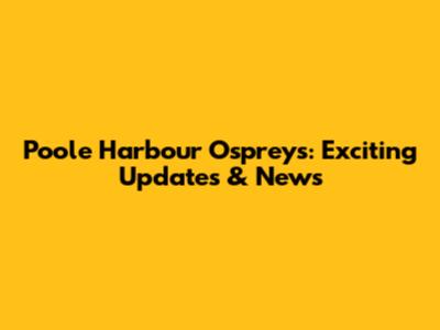 Poole Harbour Ospreys: Exciting Updates & News