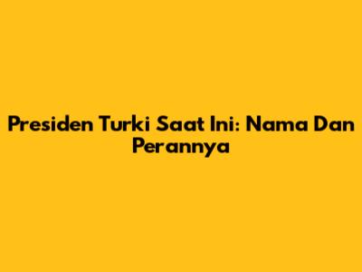 Presiden Turki Saat Ini: Nama Dan Perannya