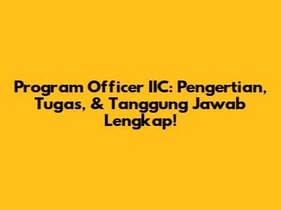 Program Officer IIC: Pengertian, Tugas, & Tanggung Jawab Lengkap!