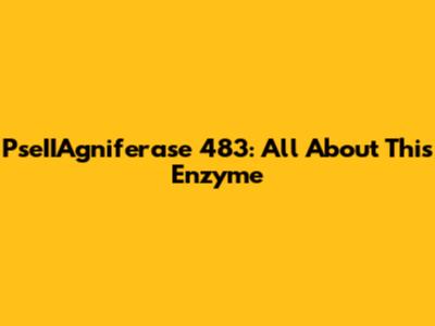 PseIIAgniferase 483: All About This Enzyme