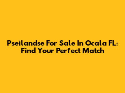 Pseilandse For Sale In Ocala FL: Find Your Perfect Match