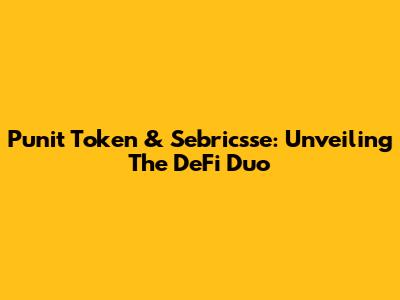 Punit Token & Sebricsse: Unveiling The DeFi Duo