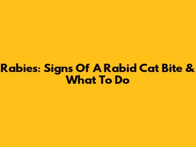 Rabies: Signs Of A Rabid Cat Bite & What To Do