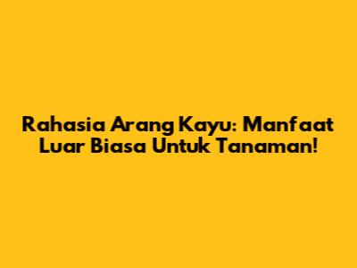 Rahasia Arang Kayu: Manfaat Luar Biasa Untuk Tanaman!
