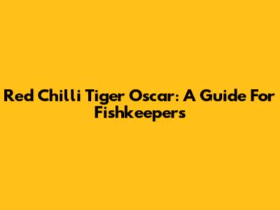 Red Chilli Tiger Oscar: A Guide For Fishkeepers