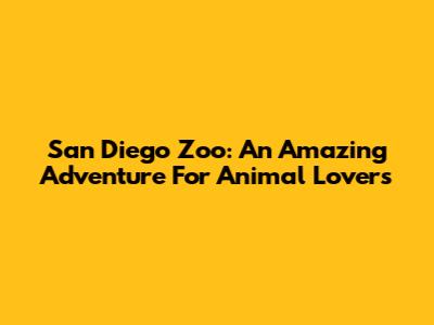 San Diego Zoo: An Amazing Adventure For Animal Lovers