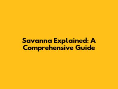 Savanna Explained: A Comprehensive Guide