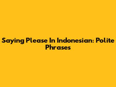 Saying Please In Indonesian: Polite Phrases