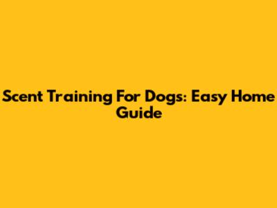 Scent Training For Dogs: Easy Home Guide