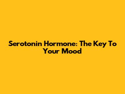 Serotonin Hormone: The Key To Your Mood