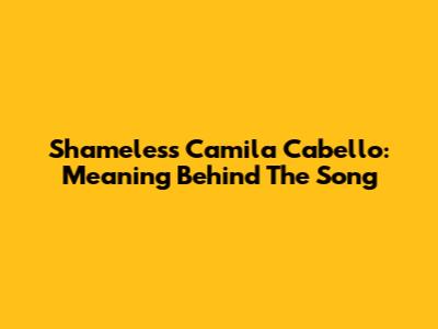 Shameless Camila Cabello: Meaning Behind The Song