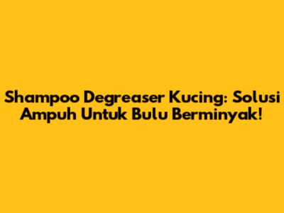 Shampoo Degreaser Kucing: Solusi Ampuh Untuk Bulu Berminyak!