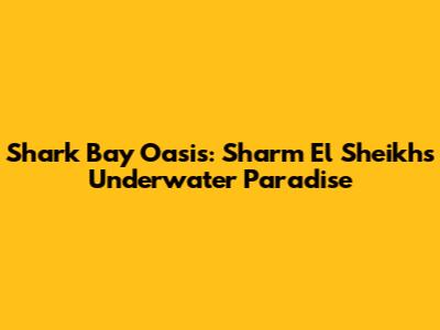 Shark Bay Oasis: Sharm El Sheikh's Underwater Paradise