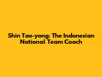 Shin Tae-yong: The Indonesian National Team Coach