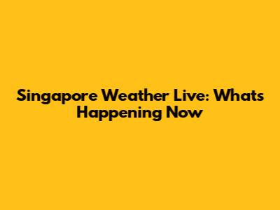 Singapore Weather Live: What's Happening Now