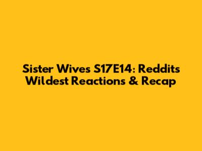 Sister Wives S17E14: Reddit's Wildest Reactions & Recap