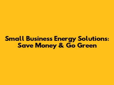 Small Business Energy Solutions: Save Money & Go Green