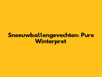 Sneeuwballengevechten: Pure Winterpret