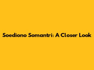 Soediono Somantri: A Closer Look