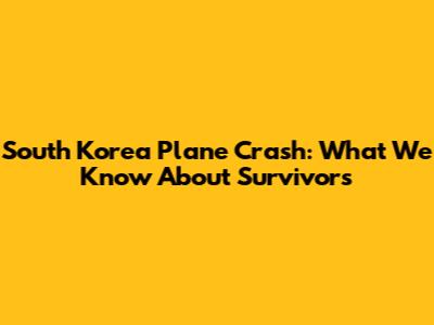 South Korea Plane Crash: What We Know About Survivors