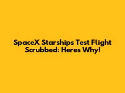 SpaceX Starship's Test Flight Scrubbed: Here's Why!