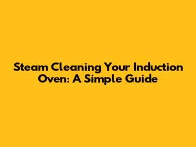 Steam Cleaning Your Induction Oven: A Simple Guide
