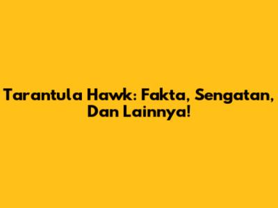 Tarantula Hawk: Fakta, Sengatan, Dan Lainnya!