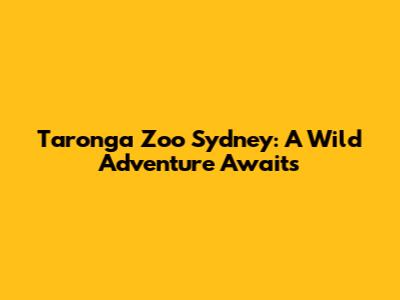 Taronga Zoo Sydney: A Wild Adventure Awaits
