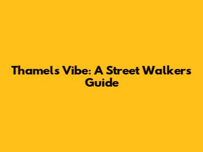 Thamel's Vibe: A Street Walker's Guide