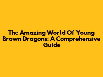 The Amazing World Of Young Brown Dragons: A Comprehensive Guide