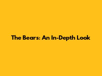 The Bears: An In-Depth Look