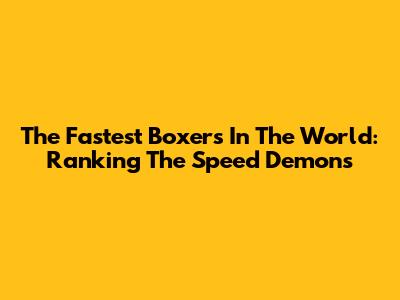 The Fastest Boxers In The World: Ranking The Speed Demons