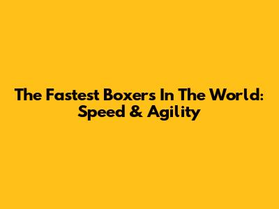 The Fastest Boxers In The World: Speed & Agility