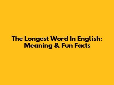 The Longest Word In English: Meaning & Fun Facts