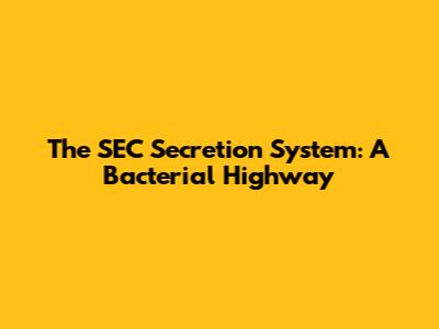 The SEC Secretion System: A Bacterial Highway