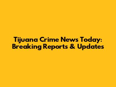 Tijuana Crime News Today: Breaking Reports & Updates