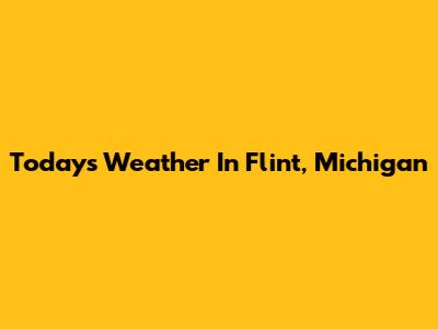 Today's Weather In Flint, Michigan