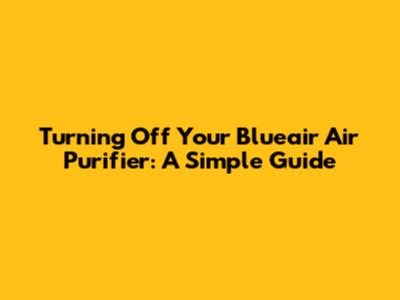 Turning Off Your Blueair Air Purifier: A Simple Guide