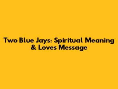 Two Blue Jays: Spiritual Meaning & Love's Message
