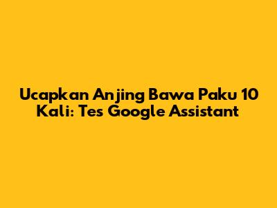 Ucapkan 'Anjing Bawa Paku' 10 Kali: Tes Google Assistant