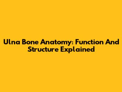 Ulna Bone Anatomy: Function And Structure Explained