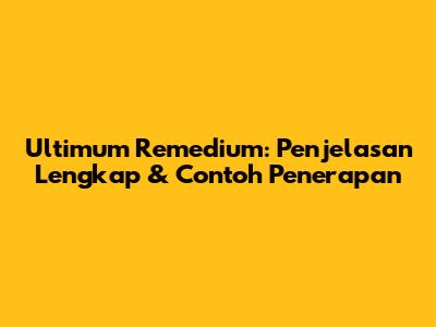 Ultimum Remedium: Penjelasan Lengkap & Contoh Penerapan