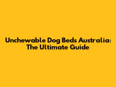 Unchewable Dog Beds Australia: The Ultimate Guide