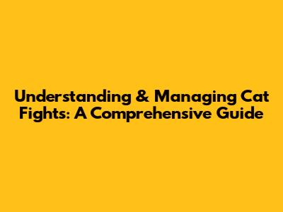 Understanding & Managing Cat Fights: A Comprehensive Guide